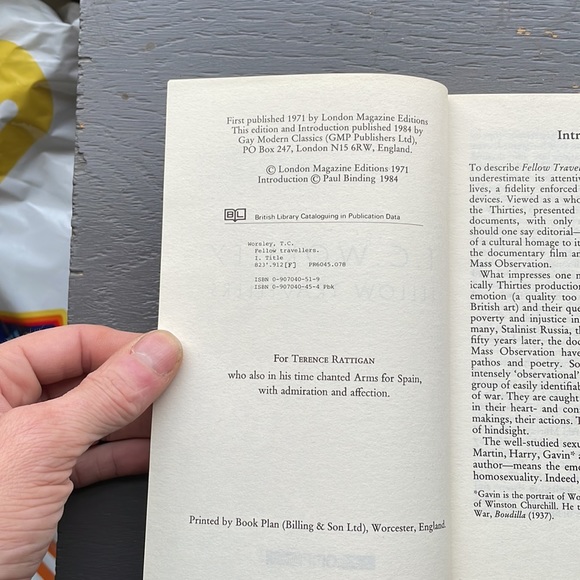 Book in title fellow, travelers, by TC Worsley. Great condition gay men’s press - Picture 5 of 5